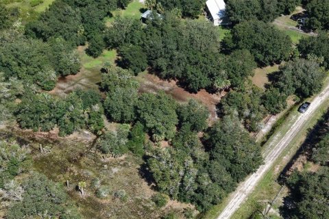 Land in Okeechobee, Florida № 2164381 - photo 14