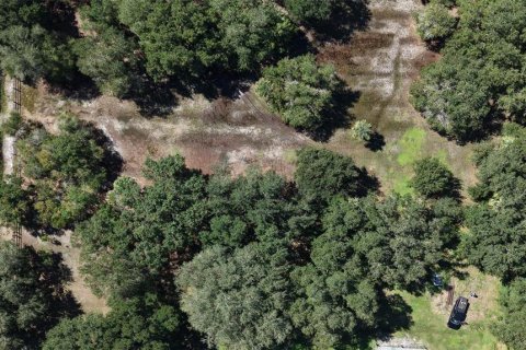 Terreno en venta en Okeechobee, Florida № 2164381 - foto 18
