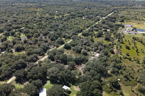 Land in Okeechobee, Florida № 2164381 - photo 9