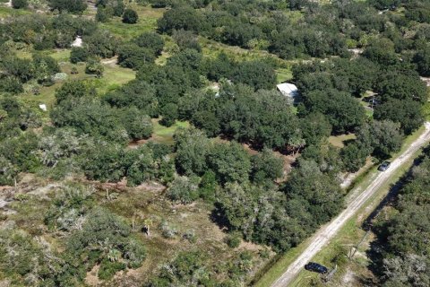 Land in Okeechobee, Florida № 2164381 - photo 15