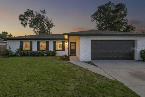 House in Brandon, Florida 4 bedrooms, 144.74 sq.m. № 2361359