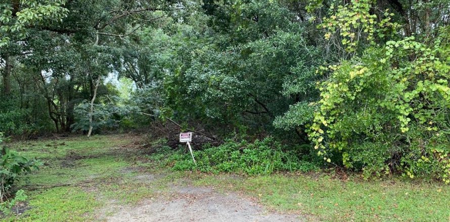 Terrain à Mount Dora, Floride № 1425280