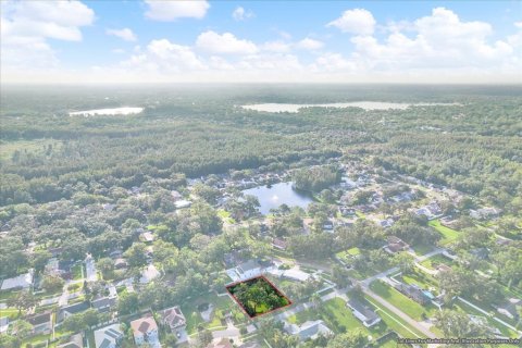 Terreno en venta en Tampa, Florida № 1905085 - foto 14