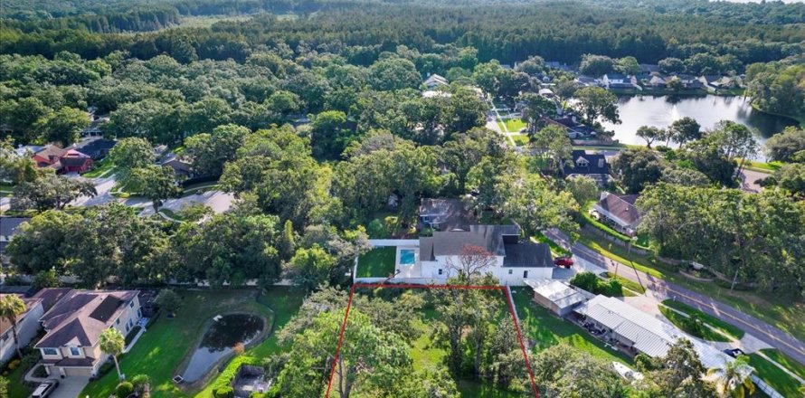 Terreno en Tampa, Florida № 1905085