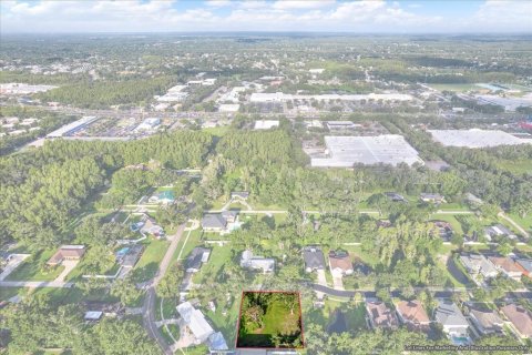 Terreno en venta en Tampa, Florida № 1905085 - foto 10