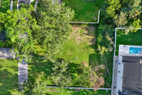 Terreno en venta en Tampa, Florida № 1905085 - foto 15