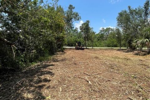Terreno en venta en Punta Gorda, Florida № 1788966 - foto 6
