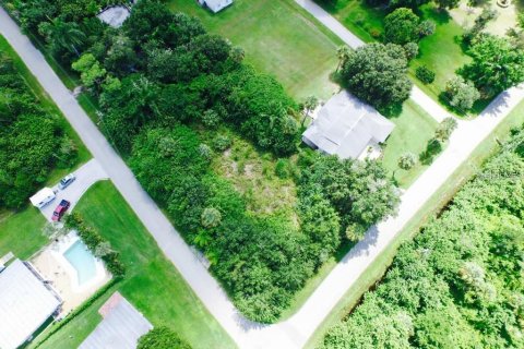 Terreno en venta en Punta Gorda, Florida № 1788966 - foto 10