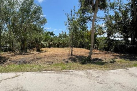 Terreno en venta en Punta Gorda, Florida № 1788966 - foto 1