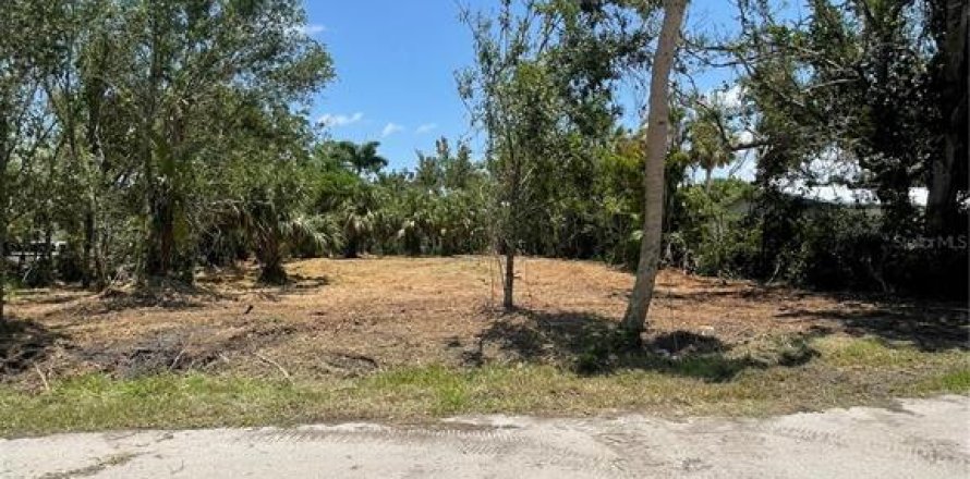 Terreno en Punta Gorda, Florida № 1788966