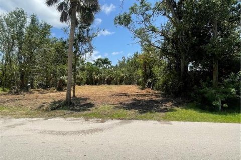 Terreno en venta en Punta Gorda, Florida № 1788966 - foto 4