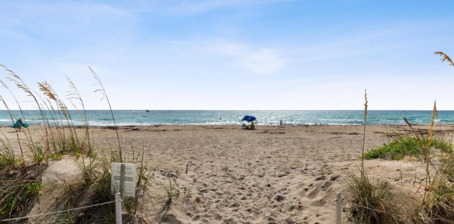 Condo à Palm Beach, Floride, 2 chambres № 1225800