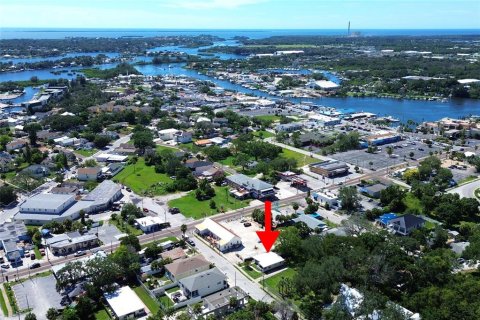 Casa en venta en Tarpon Springs, Florida, 3 dormitorios, 102.38 m2 № 1851764 - foto 2
