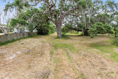 Land in Kissimmee, Florida № 1673904 - photo 10