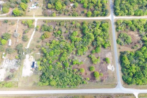 Land in Clewiston, Florida № 2011959 - photo 3