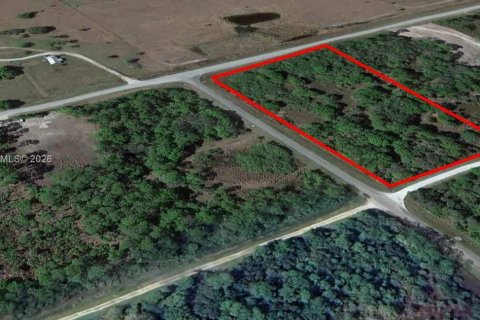 Land in Clewiston, Florida № 2011959 - photo 11
