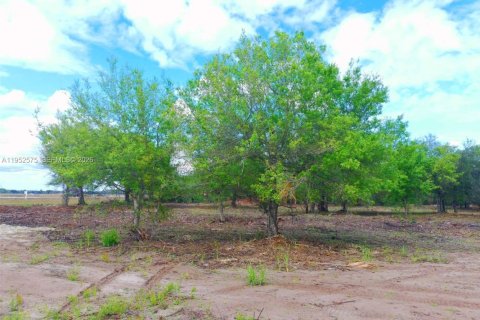 Land in Clewiston, Florida № 2011959 - photo 6
