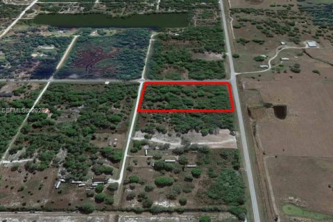 Land in Clewiston, Florida № 2011959 - photo 16