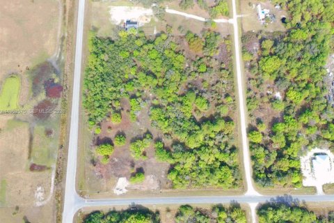 Land in Clewiston, Florida № 2011959 - photo 5