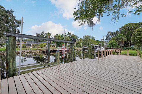 Villa ou maison à vendre à Homosassa, Floride: 3 chambres, 187.66 m2 № 2410434 - photo 2