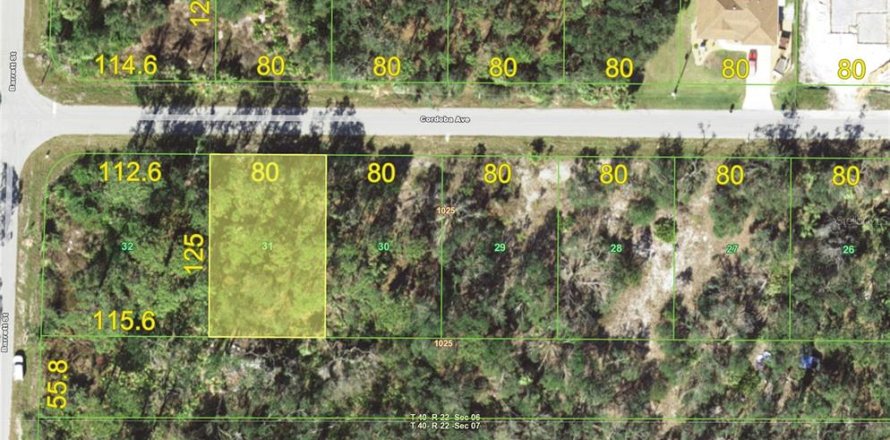 Land in Port Charlotte, Florida № 2227859