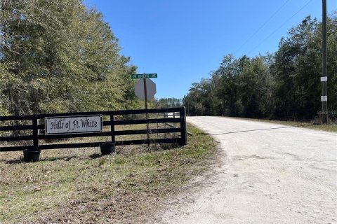Land in Fort White, Florida № 1036986 - photo 3