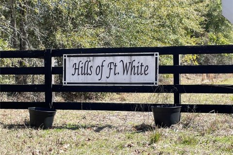 Land in Fort White, Florida № 1036986 - photo 2