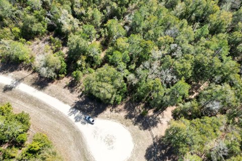 Land in Fort White, Florida № 1036986 - photo 6