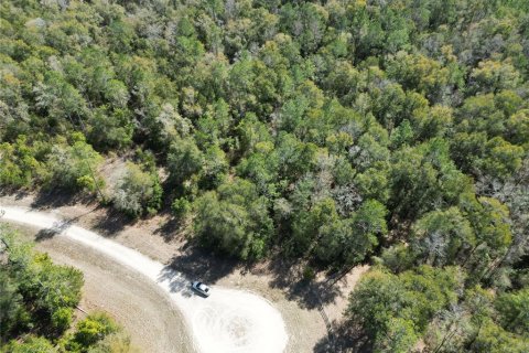 Land in Fort White, Florida № 1036986 - photo 5