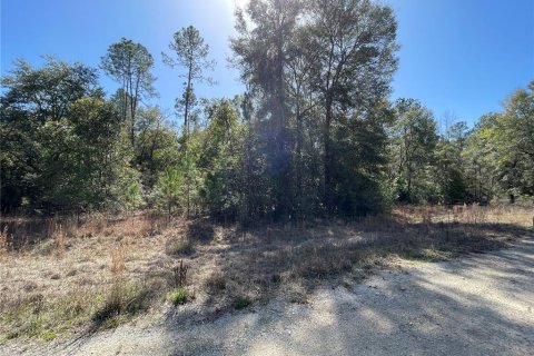 Land in Fort White, Florida № 1036986 - photo 4