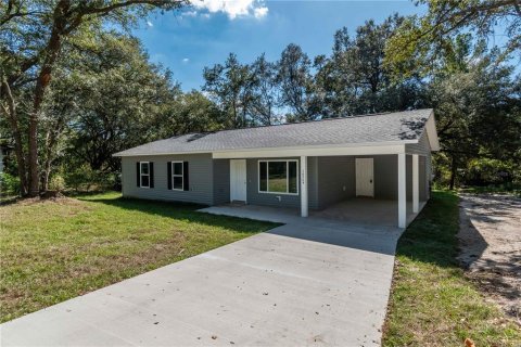 House in Ocklawaha, Florida 3 bedrooms, 114.36 sq.m. № 1791521 - photo 1