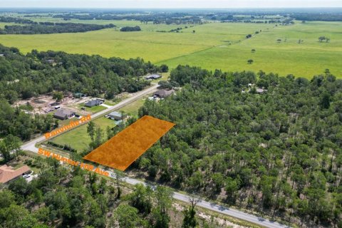 Land in Dunnellon, Florida № 2164086