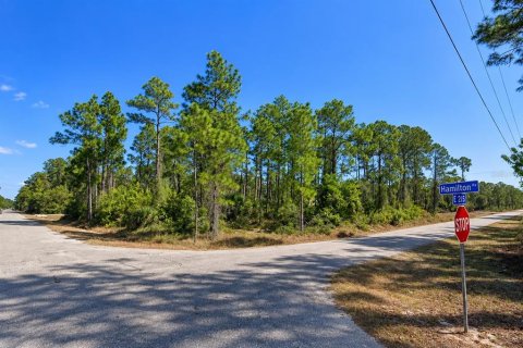 Land in Alva, Florida № 2370859