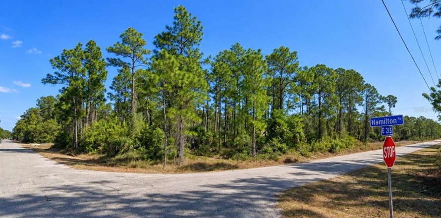 Land in Alva, Florida № 2370859