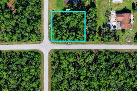 Land in Alva, Florida № 2370859 - photo 3