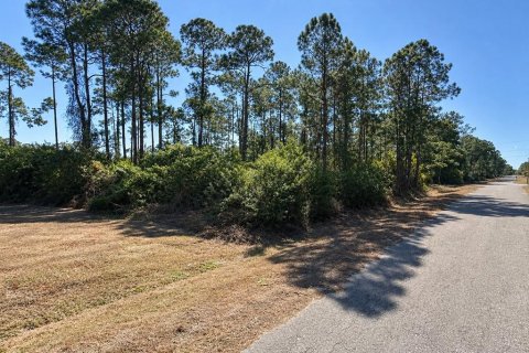 Land in Alva, Florida № 2370859 - photo 2