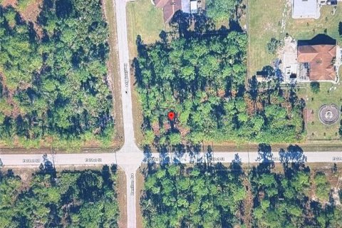 Land in Alva, Florida № 2370859 - photo 4