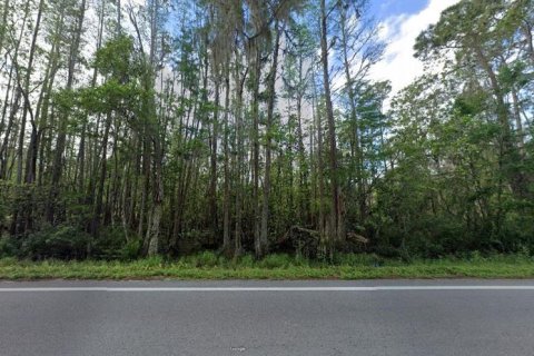 Land in Polk City, Florida № 2162274 - photo 2