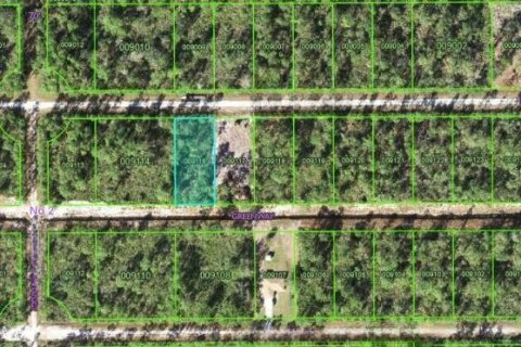 Terrain à vendre à Indian lake estates, Floride № 2224044 - photo 4