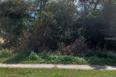 Terrain à DeLand, Floride № 2160999