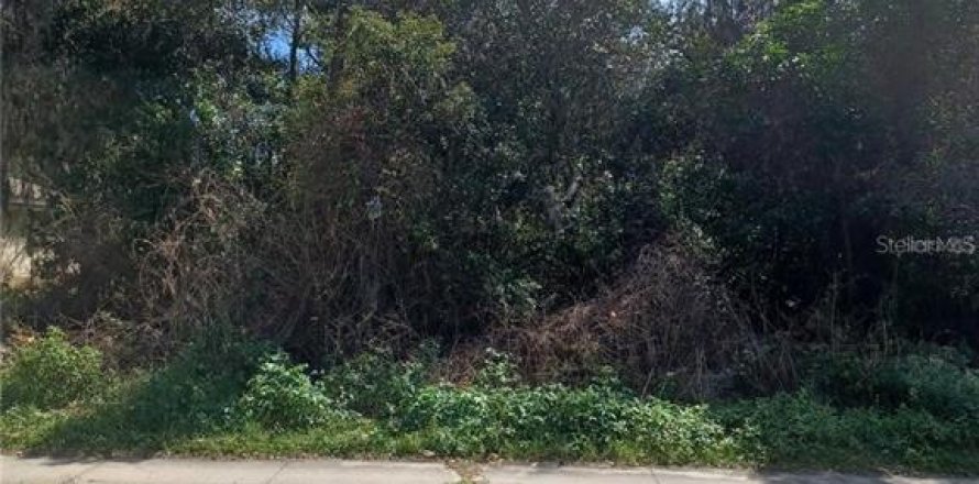 Terrain à DeLand, Floride № 2160999