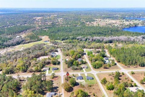 Land in Ocklawaha, Florida № 2160442 - photo 7