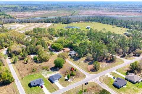 Land in Ocklawaha, Florida № 2160442 - photo 9