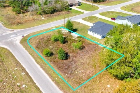 Land in Ocklawaha, Florida № 2160442 - photo 12
