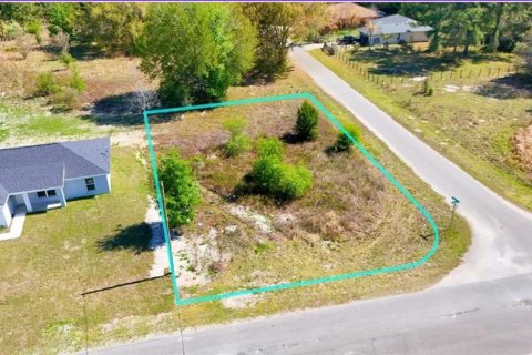 Land in Ocklawaha, Florida № 2160442 - photo 2