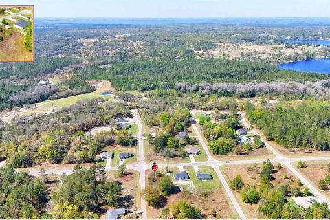 Land in Ocklawaha, Florida № 2160442 - photo 4
