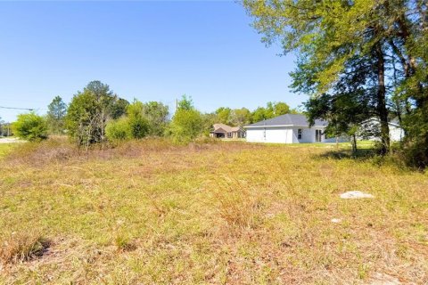 Land in Ocklawaha, Florida № 2160442 - photo 11