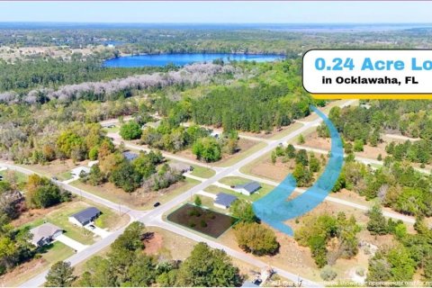 Land in Ocklawaha, Florida № 2160442