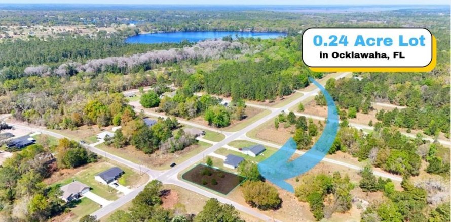 Land in Ocklawaha, Florida № 2160442