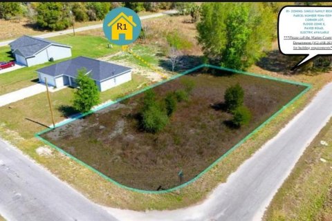 Land in Ocklawaha, Florida № 2160442 - photo 3